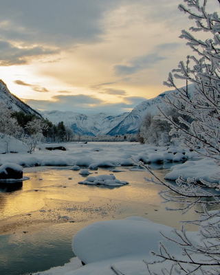 Winter Outdoor Image - Fondos de pantalla gratis para Nokia X6