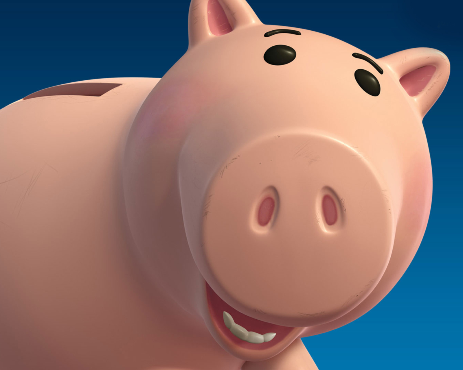 Pig wallpaper 1600x1280