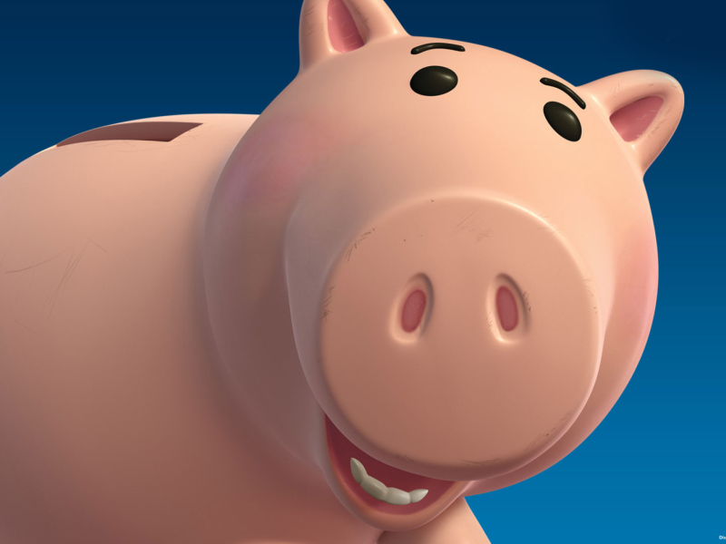 Fondo de pantalla Pig 800x600