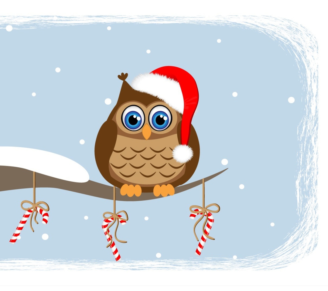 Das Christmas Owl Wallpaper 1080x960