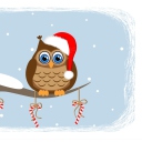 Christmas Owl screenshot #1 128x128