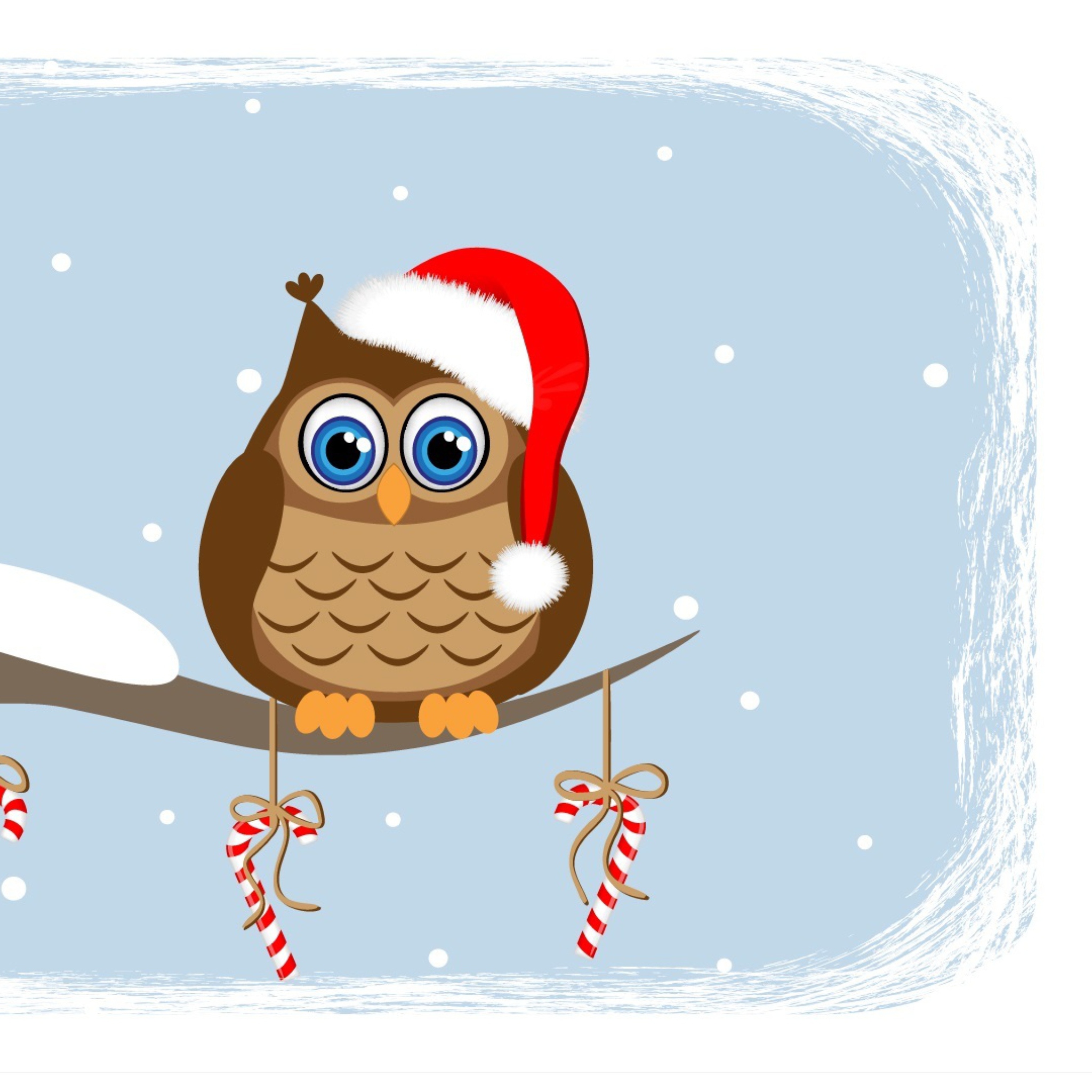 Das Christmas Owl Wallpaper 2048x2048