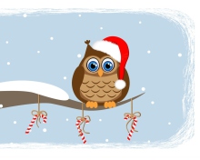 Christmas Owl wallpaper 220x176