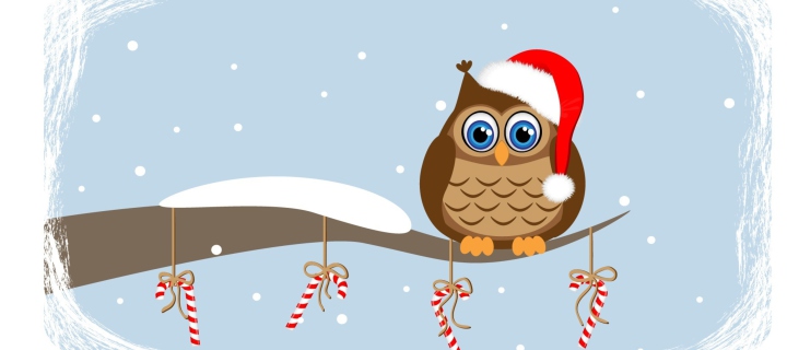 Fondo de pantalla Christmas Owl 720x320
