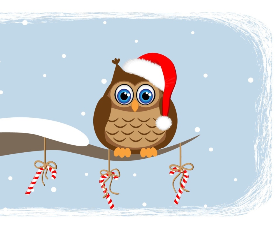 Sfondi Christmas Owl 960x800