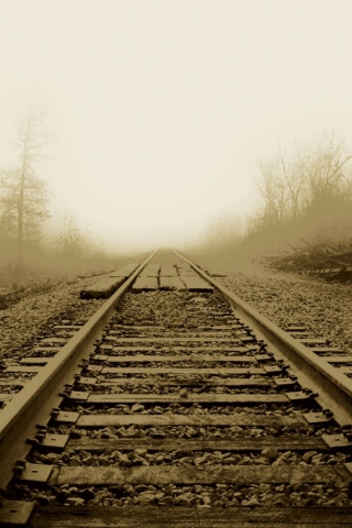 Screenshot №1 pro téma Railway In A Fog 320x480