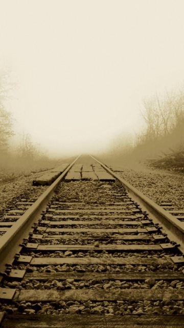 Das Railway In A Fog Wallpaper 360x640