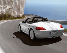 Porsche wallpaper 220x176