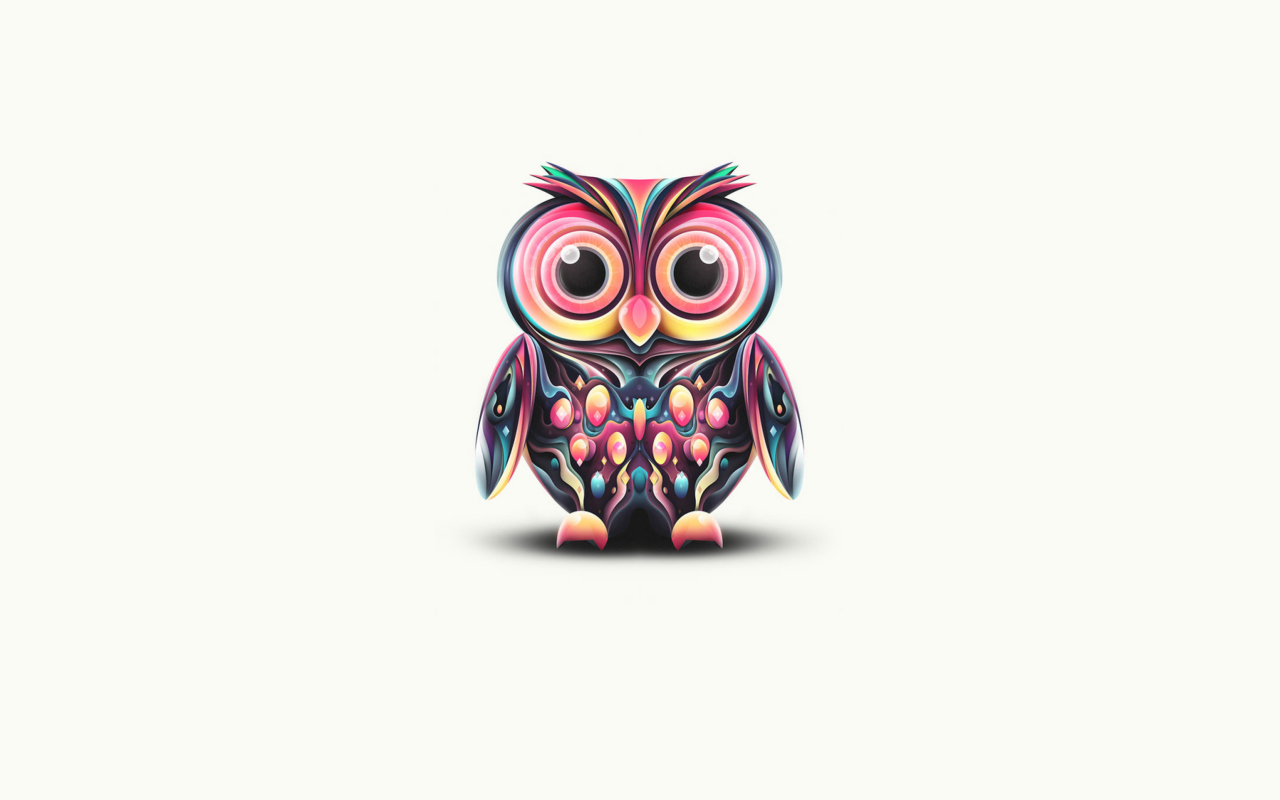 Cute Owl wallpaper 1280x800