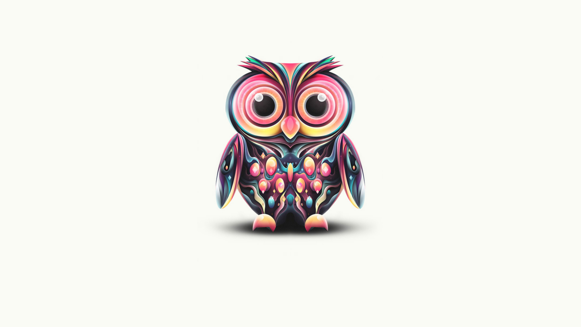 Cute Owl wallpaper 1920x1080