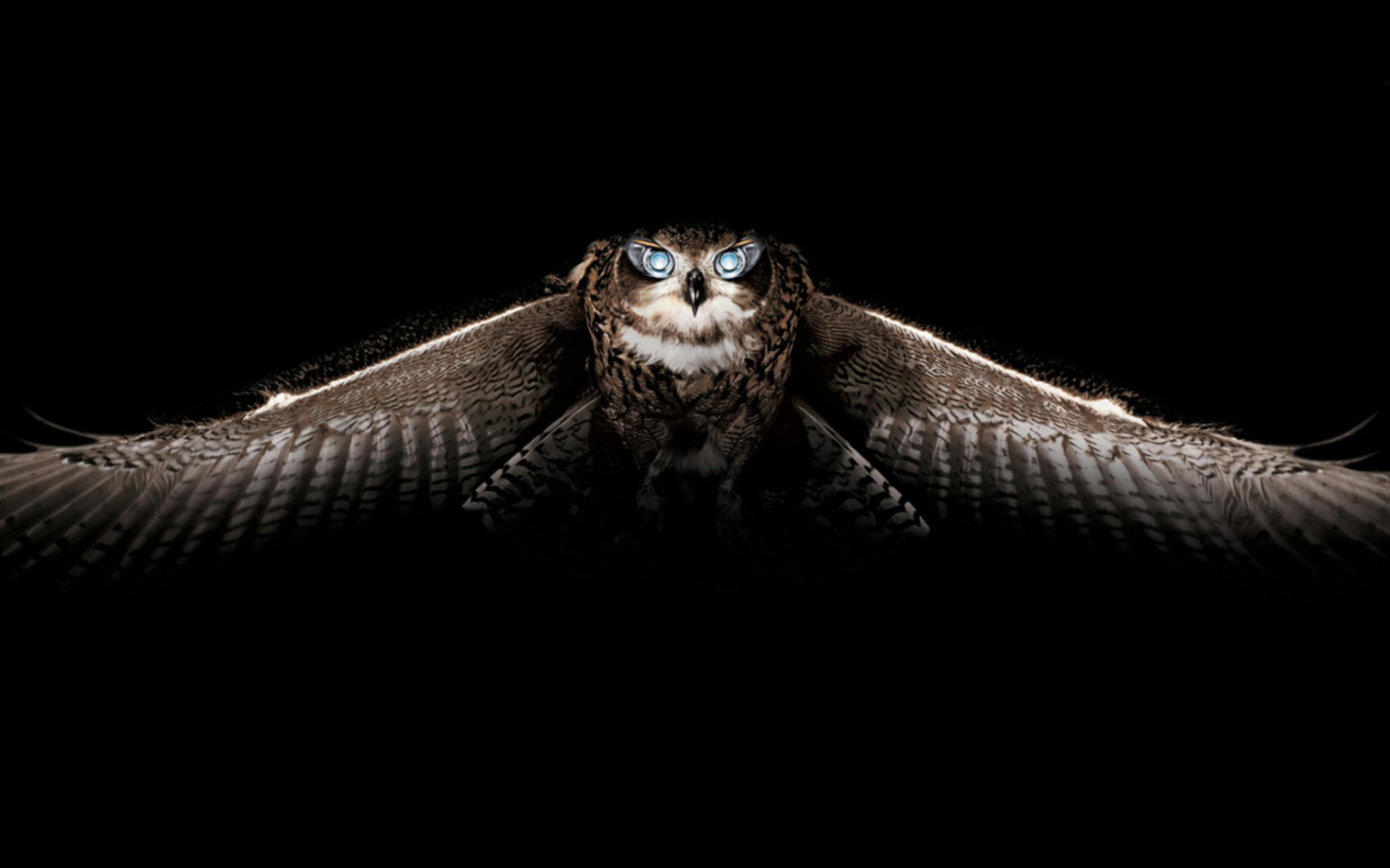 Screenshot №1 pro téma Owl 1920x1200