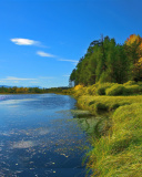 Das Scenic Lake Oregon HD Wallpaper 128x160