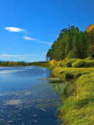 Das Scenic Lake Oregon HD Wallpaper 132x176