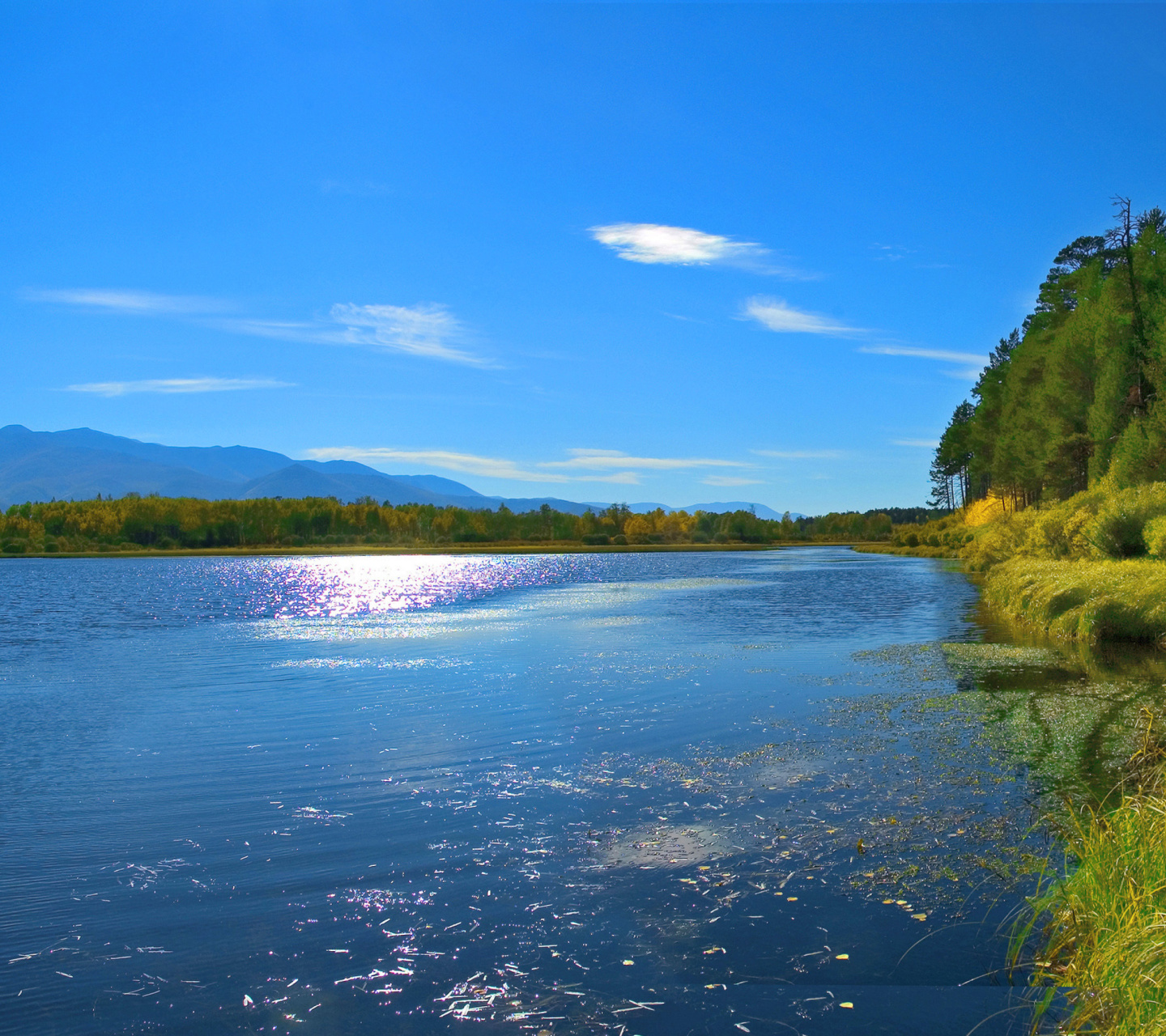 Das Scenic Lake Oregon HD Wallpaper 1440x1280