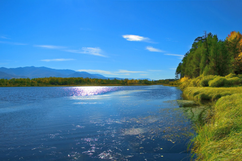 Обои Scenic Lake Oregon HD 480x320