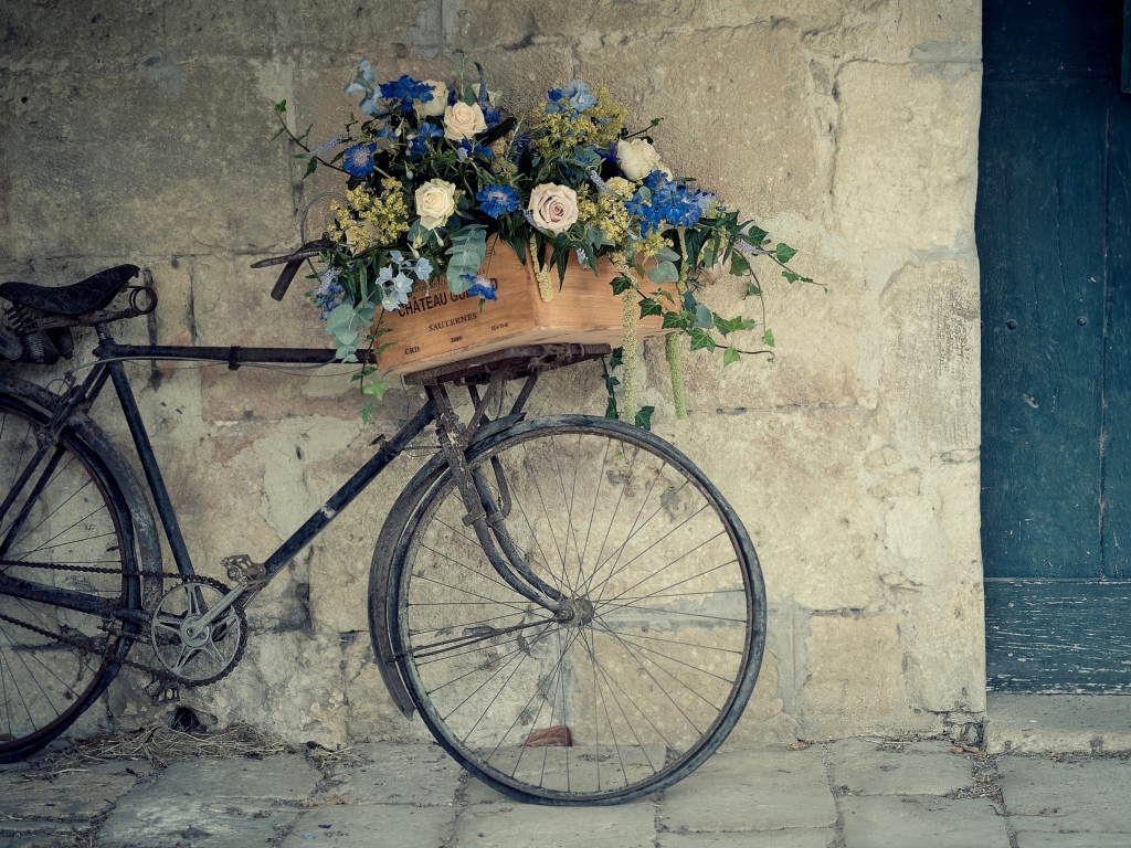 Sfondi Flower Bicycle 1024x768