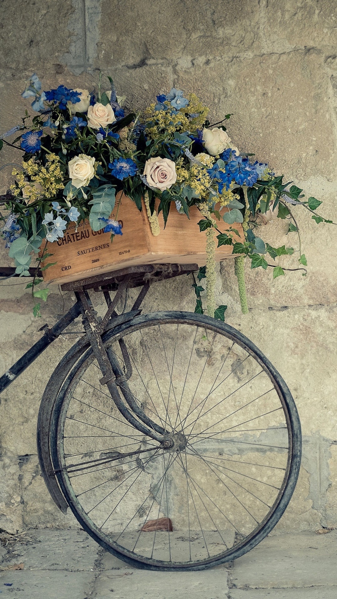 Велосипед с корзинкой цветов бесплатно