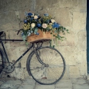 Flower Bicycle screenshot #1 128x128
