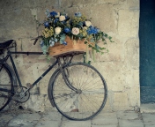 Das Flower Bicycle Wallpaper 176x144