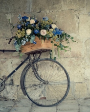 Screenshot №1 pro téma Flower Bicycle 176x220