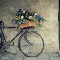 Das Flower Bicycle Wallpaper 208x208