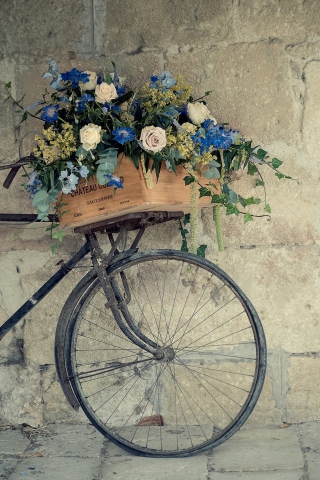 Fondo de pantalla Flower Bicycle 320x480