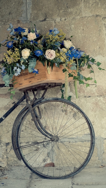 Обои Flower Bicycle 360x640