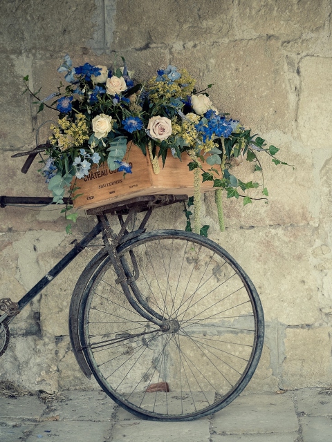 Fondo de pantalla Flower Bicycle 480x640