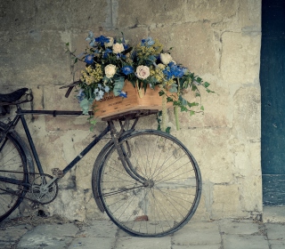 Flower Bicycle Wallpaper for Nokia 8800