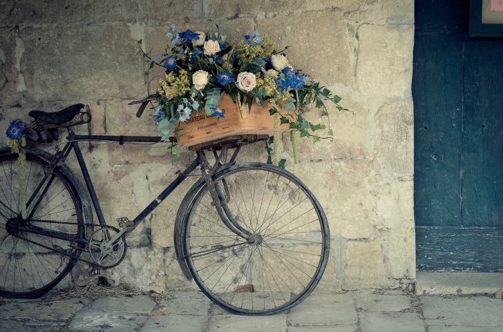 Flower Bicycle wallpaper