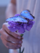Fondo de pantalla Blue Butterfly On Blue Flower 132x176
