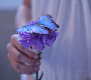 Blue Butterfly On Blue Flower sfondi gratuiti per 128x128