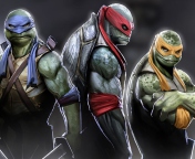 Das Ninja Turtles 2014 Wallpaper 176x144