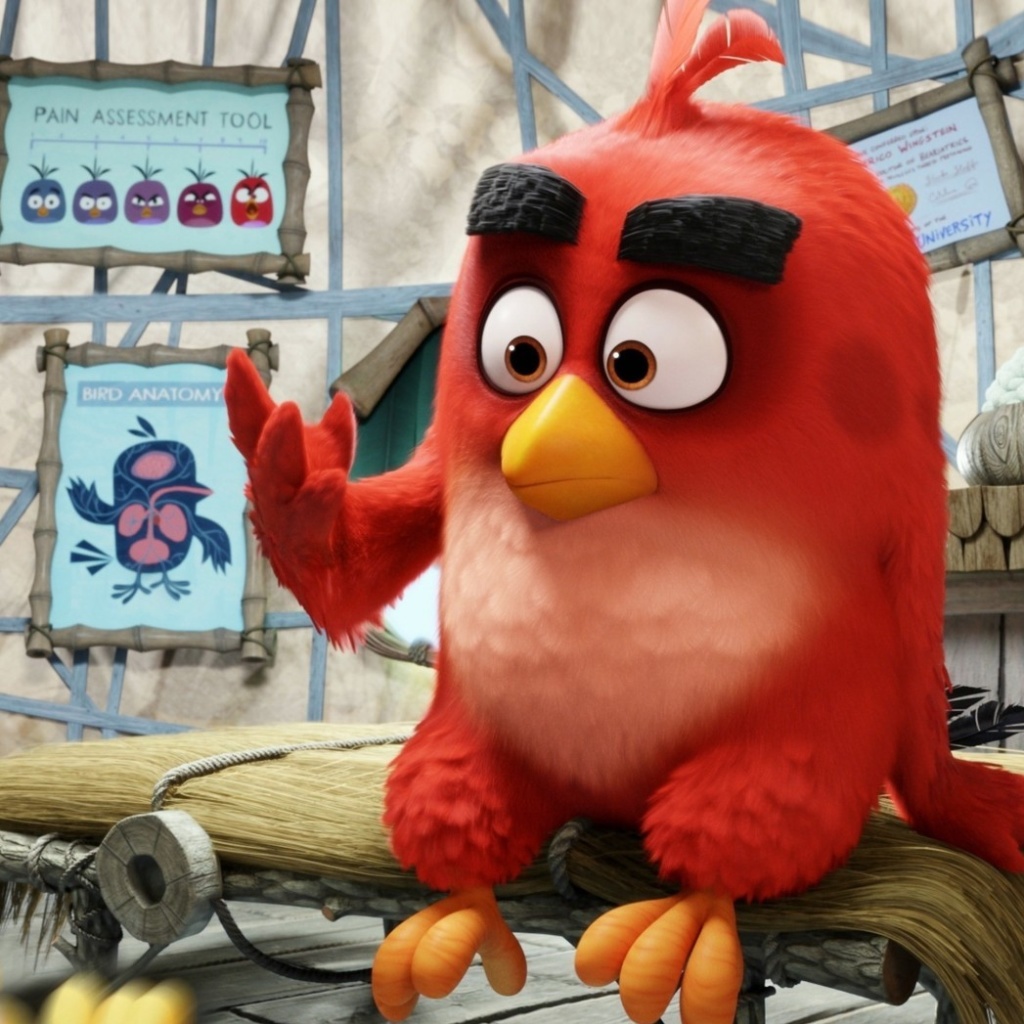 Das Angry Birds Red Wallpaper 1024x1024