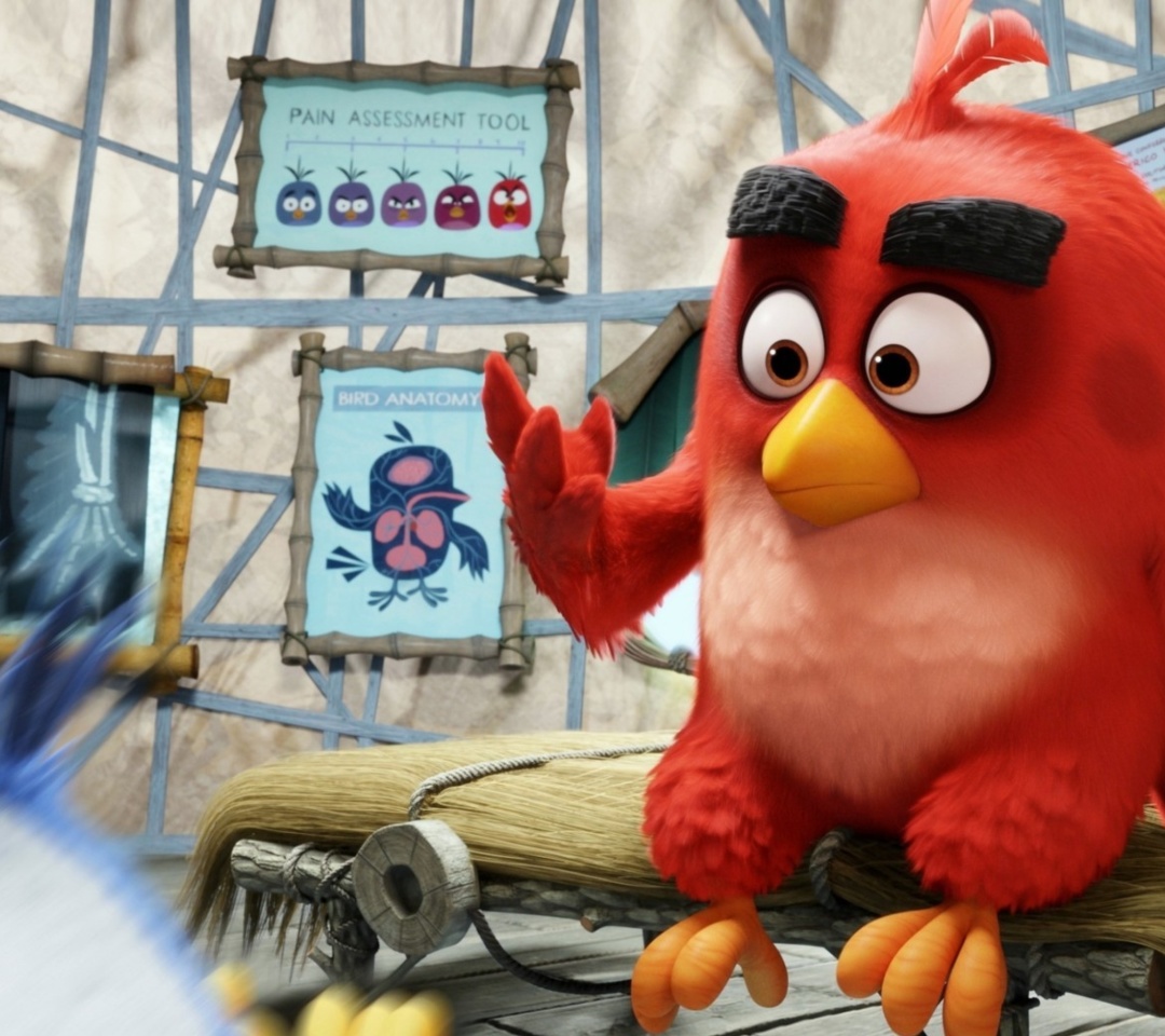 Fondo de pantalla Angry Birds Red 1080x960