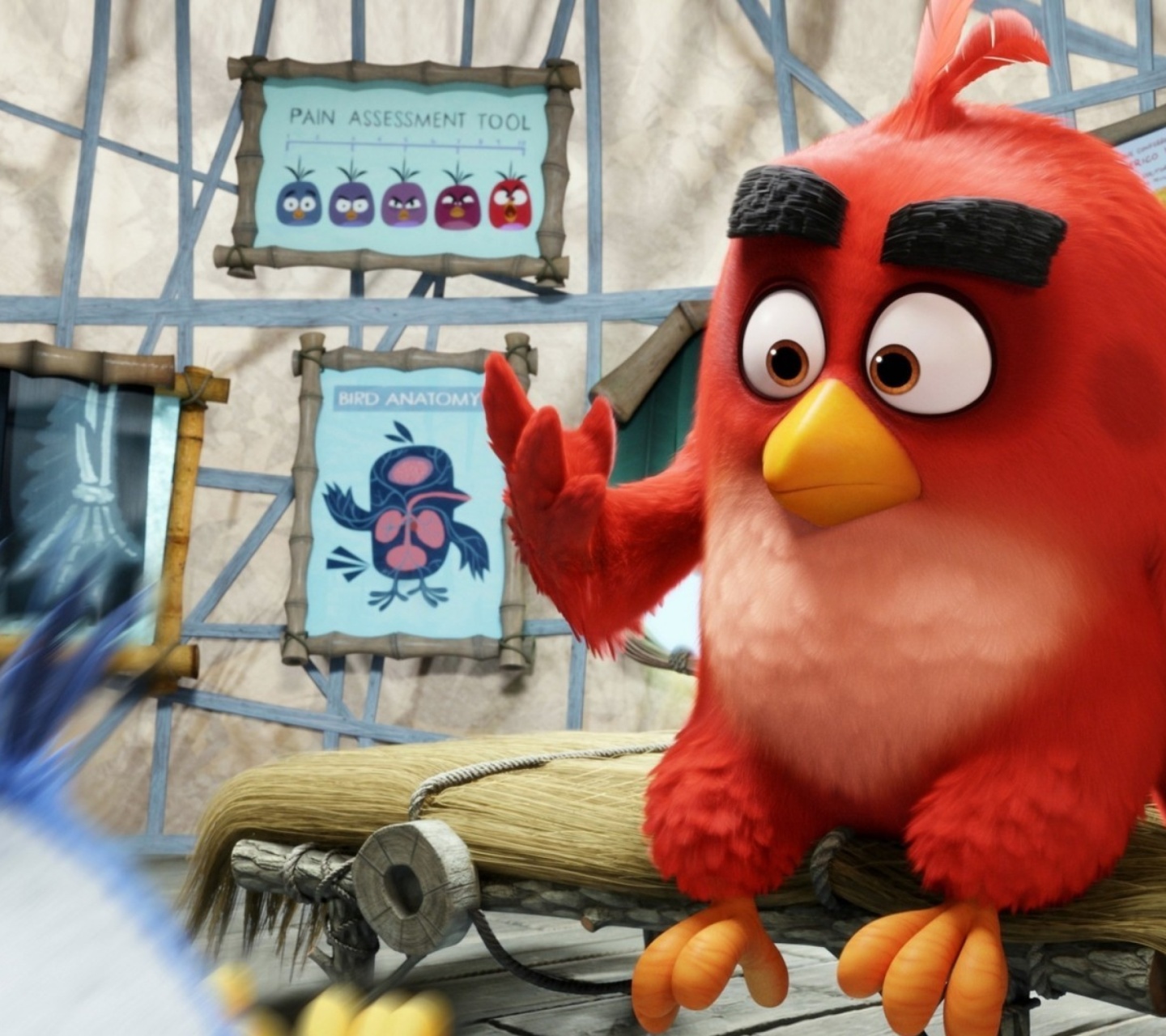 Fondo de pantalla Angry Birds Red 1440x1280