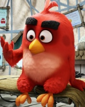 Fondo de pantalla Angry Birds Red 176x220