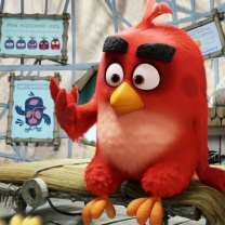 Fondo de pantalla Angry Birds Red 208x208