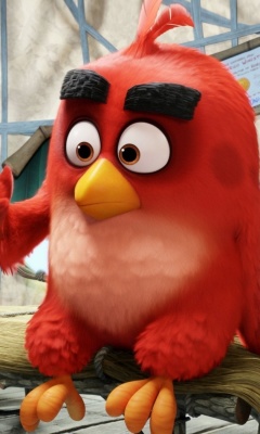 Обои Angry Birds Red 240x400