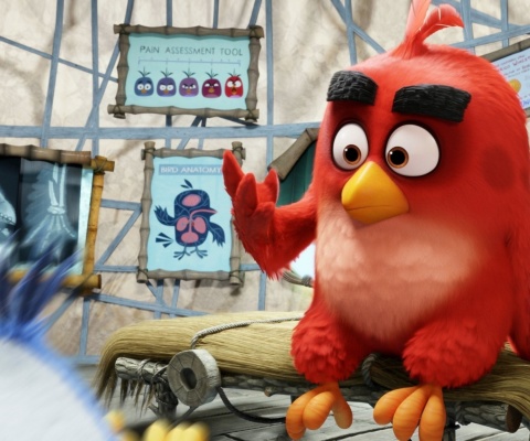 Fondo de pantalla Angry Birds Red 480x400
