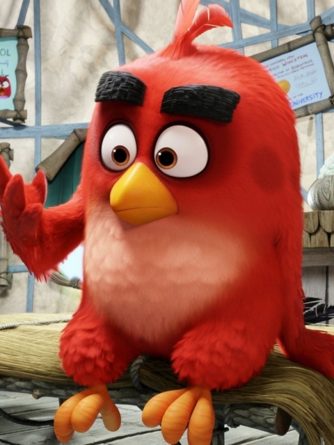 Sfondi Angry Birds Red 480x640