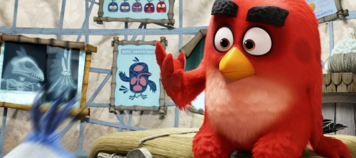 Angry Birds Red wallpaper 720x320