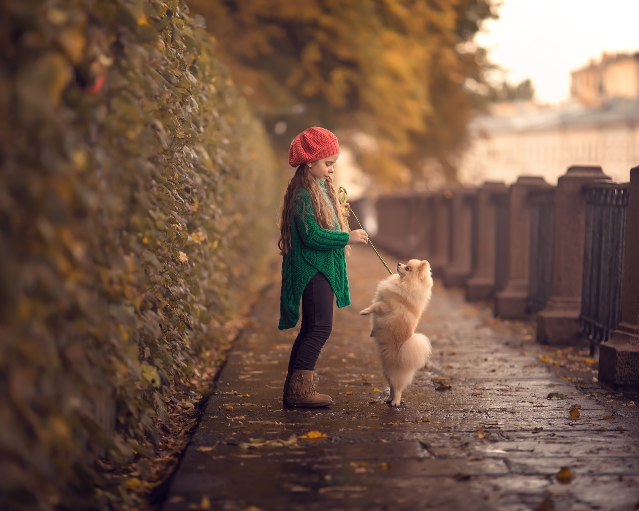 Fondo de pantalla Child and dog spitz 1280x1024