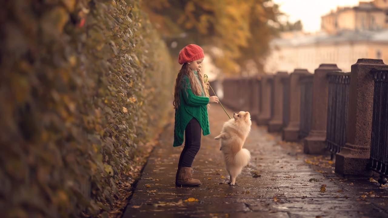 Sfondi Child and dog spitz 1280x720