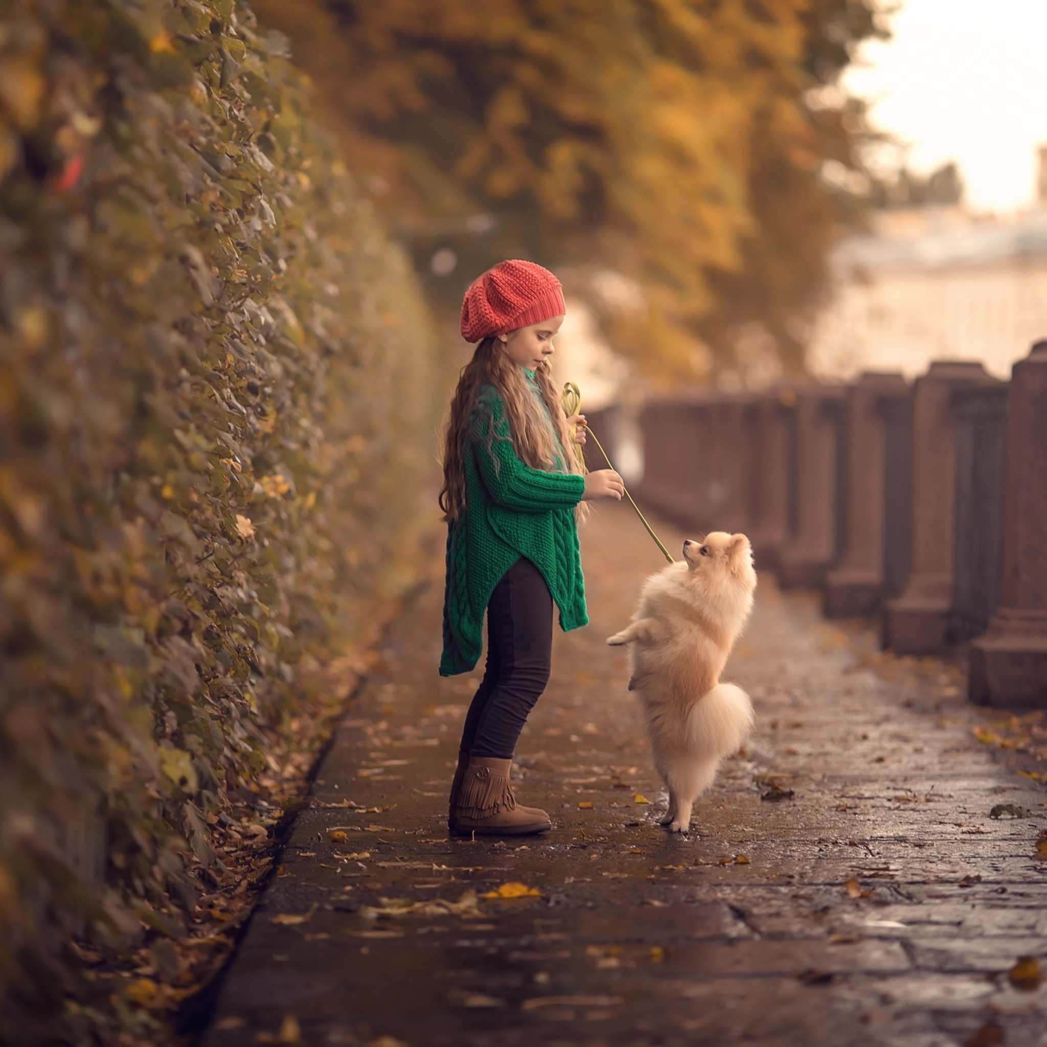 Child and dog spitz wallpaper 2048x2048