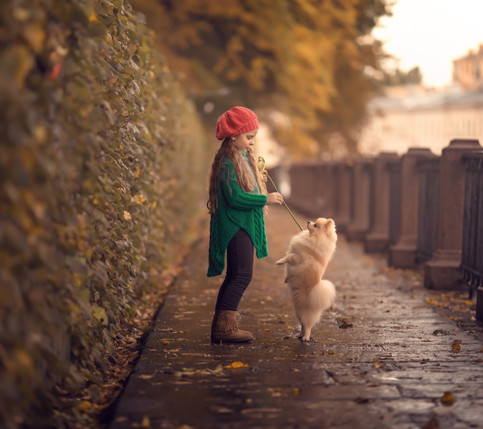 Child and dog spitz wallpaper 960x854