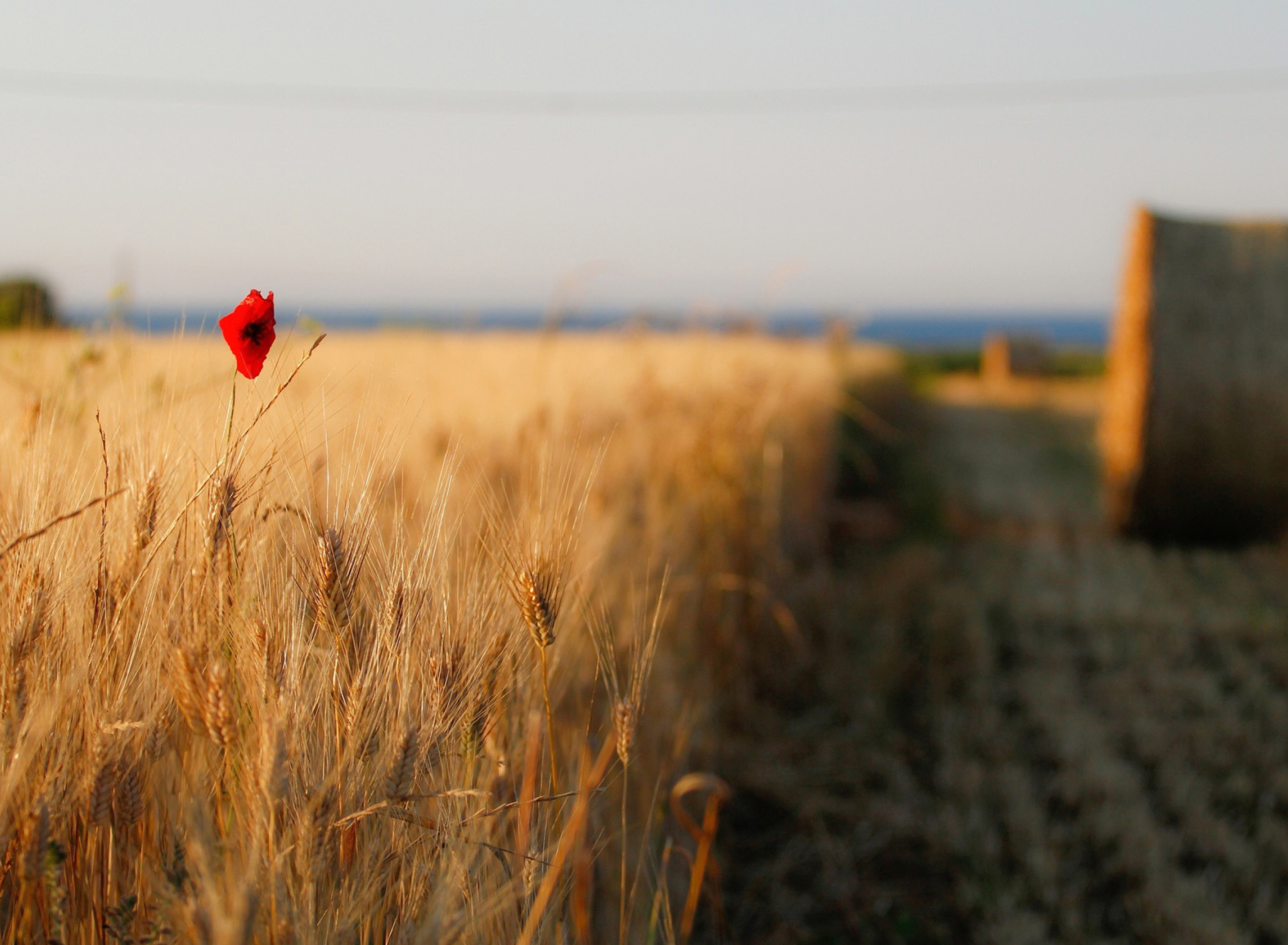 Das Wheat and Stack Wallpaper 1920x1408