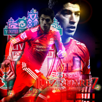 Screenshot №1 pro téma Luiz Suarez - Liverpool 208x208