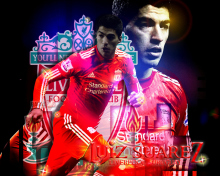Luiz Suarez - Liverpool wallpaper 220x176