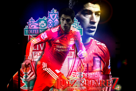 Screenshot №1 pro téma Luiz Suarez - Liverpool 480x320